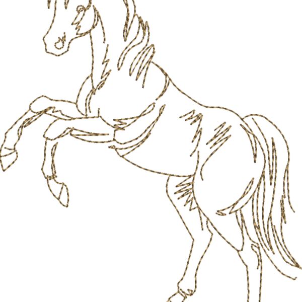 WS605 48 Thumbnail