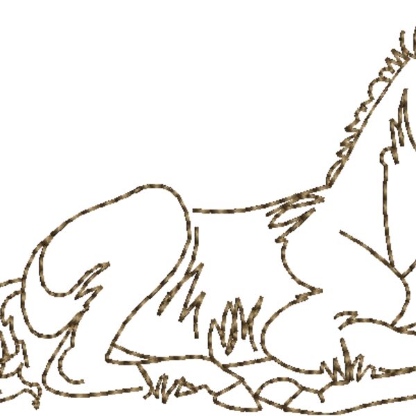 WS609 48 Thumbnail