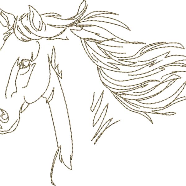 WS610 48 Thumbnail