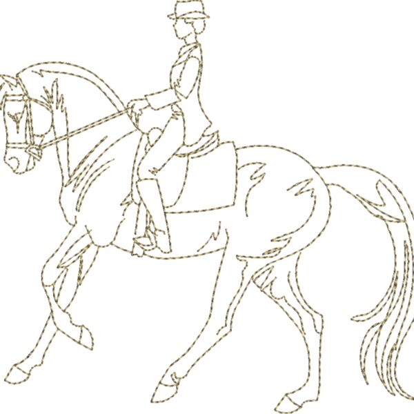 WS613 48 Thumbnail