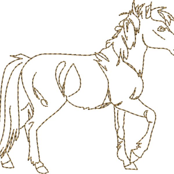 WS608 48 Thumbnail