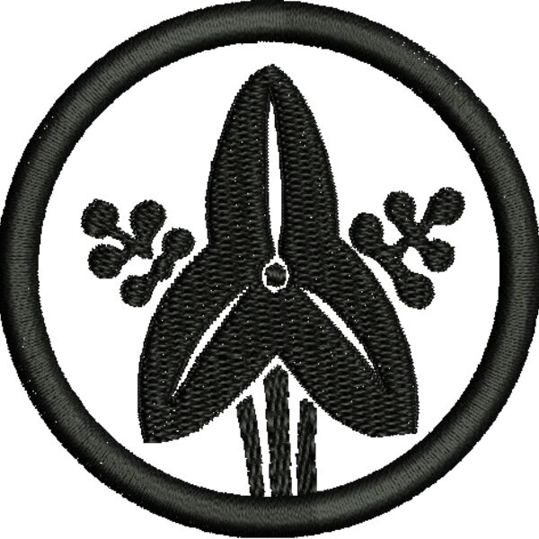 NZ559 Thumbnail