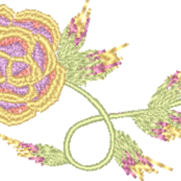 FP252 Thumbnail
