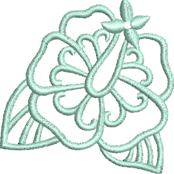NZ351 Thumbnail