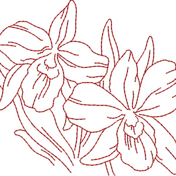 FP172 Thumbnail