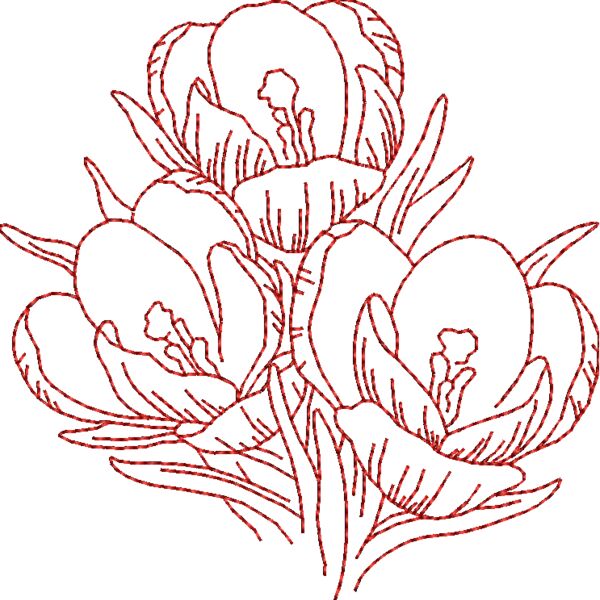 FP161 Thumbnail