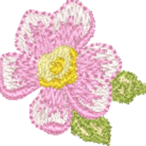 330600 Thumbnail