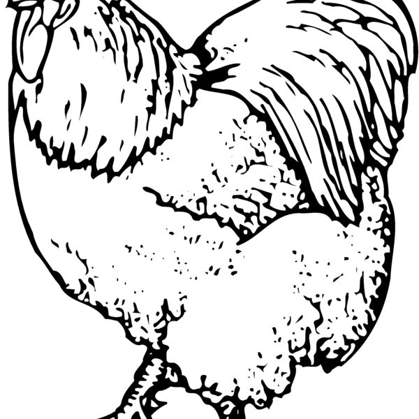 CHICK003 Thumbnail