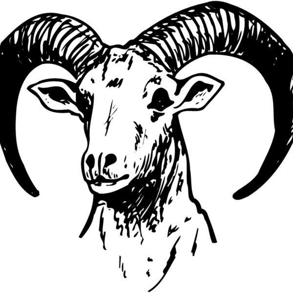 RAM012 Thumbnail