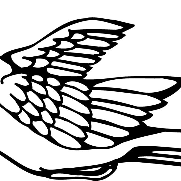 BIRD012 Thumbnail