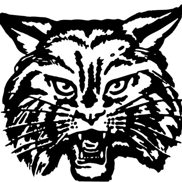 CAT03 Thumbnail