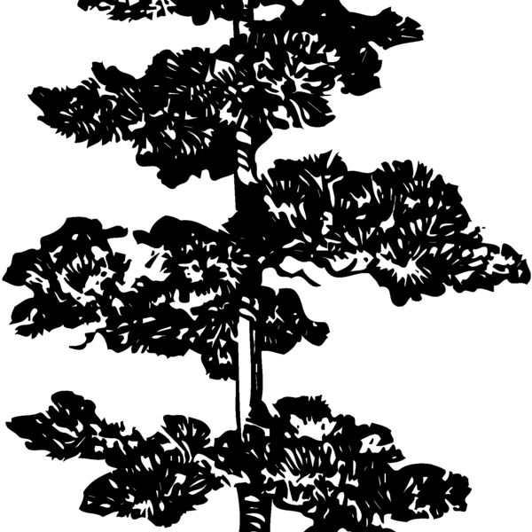 TREE0012 Thumbnail